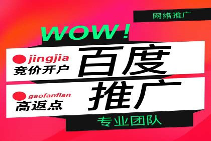 百度推广开户攻略：实战案例解读